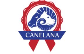 Canelana