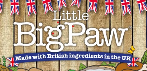 Little Big Paw